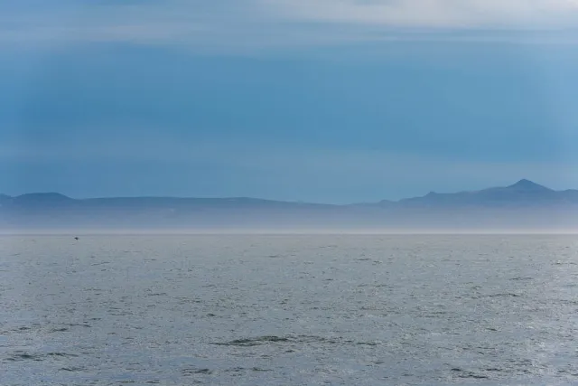 Kunashiri, the black island in the fog