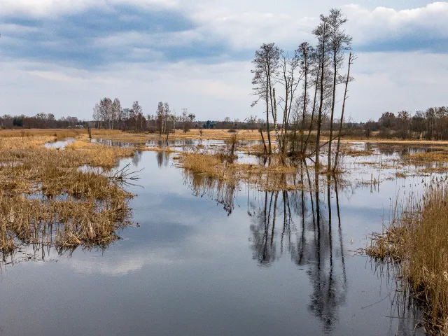 The lakes around the primeval forest of Białowieża