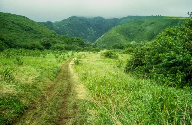 Auf den Trails von Kauai