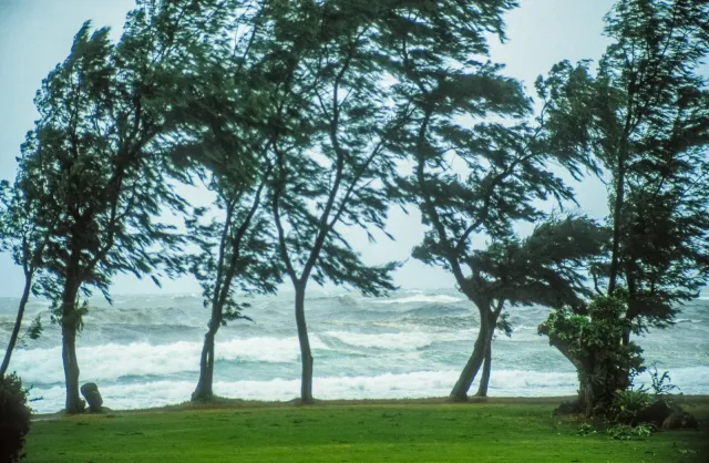 Storm at sea