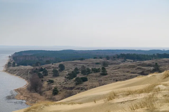 The dunes of the Curonian Spit