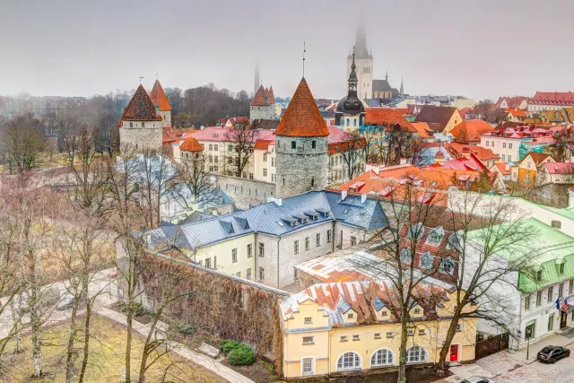 Blick auf die Altstadt von Tallinn