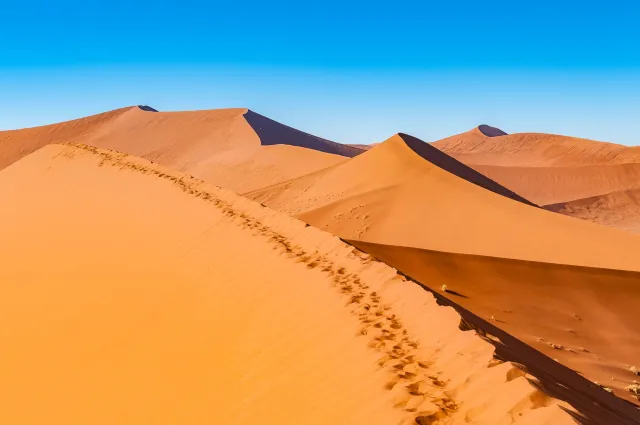 The dune landscape around Dune 45 in the Namib