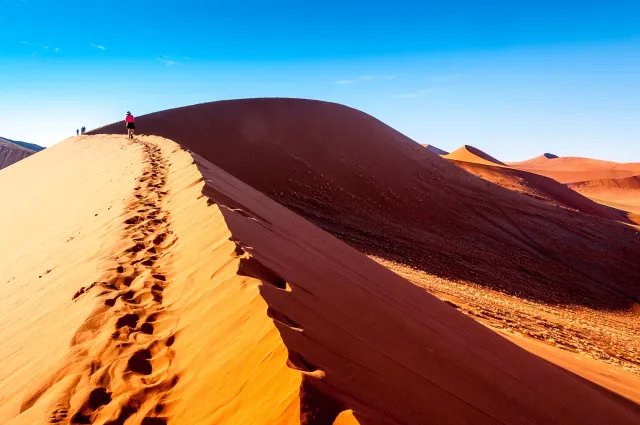 The dune landscape around Dune 45 in the Namib