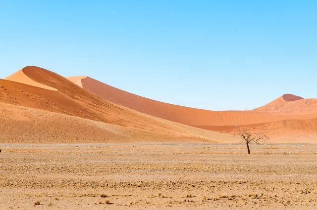 The dunes at Sossusvlei