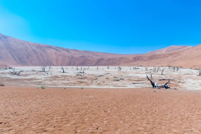 The Deadvlei