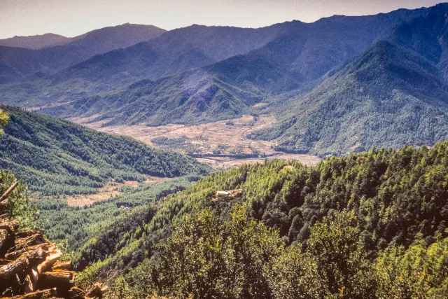 The Paro valley