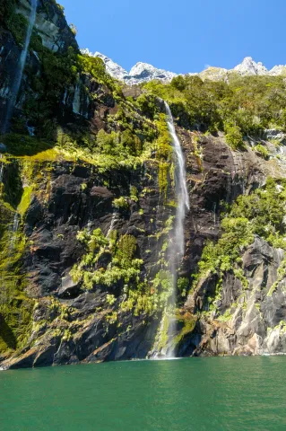 Der Milford Sound