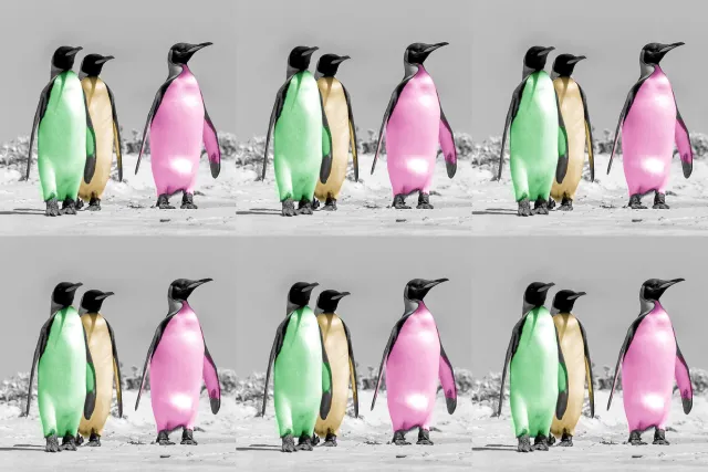 Warhol penguins as non-fungible token (NFT)