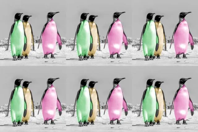 Warhol-Pinguine als non-fungible token (NFT)