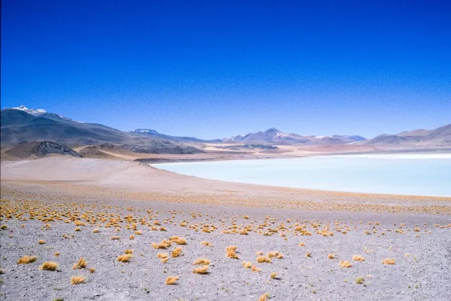 Salar de Atacama