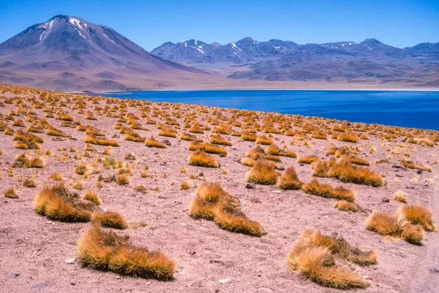 Salar de Atacama