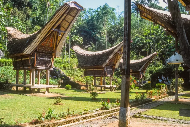 Tongkonan, the impressive houses of the Toraja