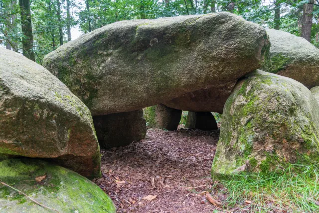 The megalithic tomb in the Kunkenvenne, also known as the Thuine megalithic tomb, Sprockhoff no. 874