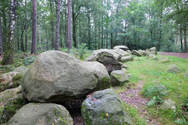 Das Großsteingrab in der Kunkenvenne, auch Großsteingrab von Thuine genannt, Sprockhoff-Nr. 874