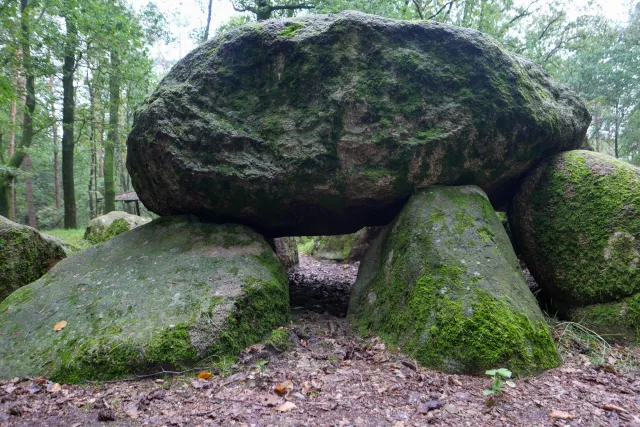 The megalithic tomb in the Kunkenvenne, also known as the Thuine megalithic tomb, Sprockhoff no. 874