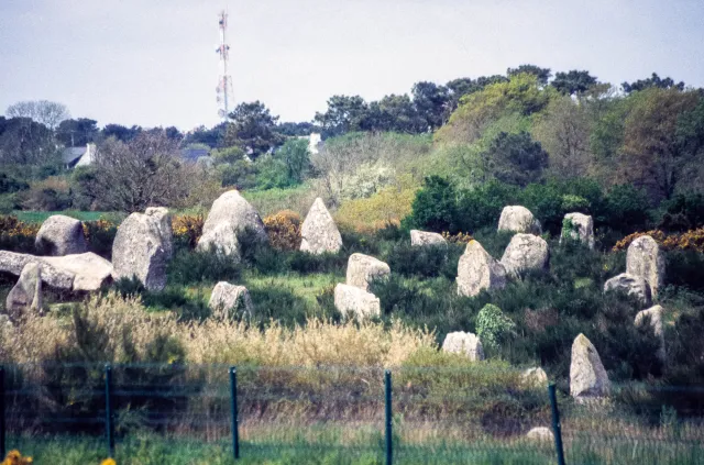 Stone rows of Carnac