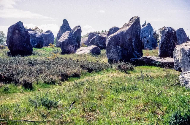 Steinreihen von Carnac