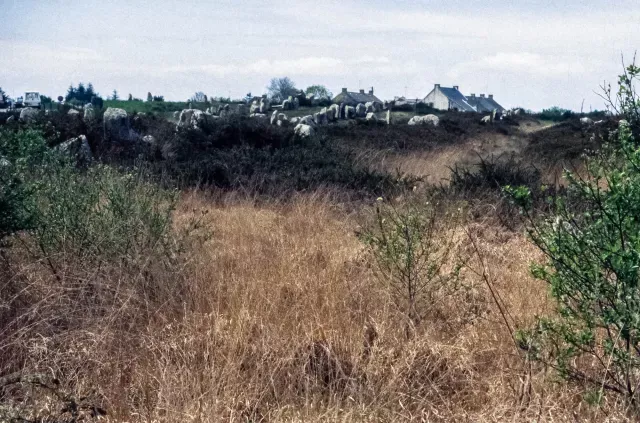 Stone rows of Carnac