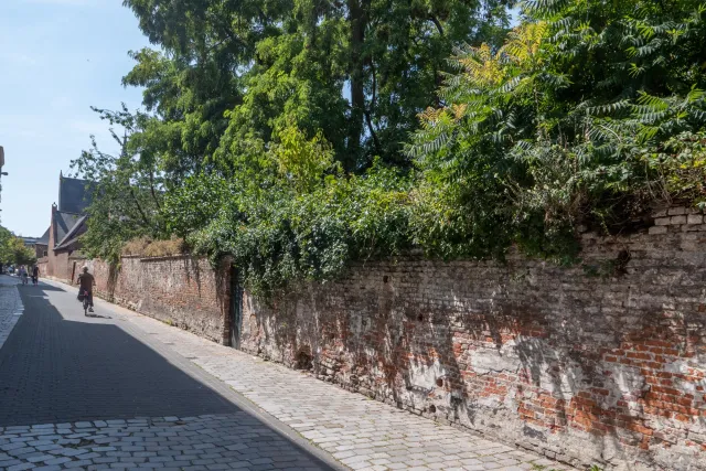 In the Great Beguinage in Louvain