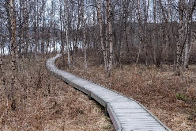 Very nice paths through the landscape of petroglyphs