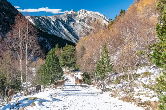 Hiking in the mountains of Andorra