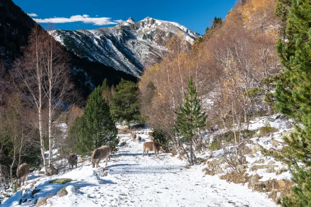 Hiking in the mountains of Andorra