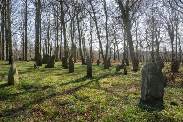 Menhirs or Bautasteine in Louisenlund