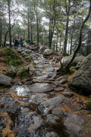 Climb to Preikestolen