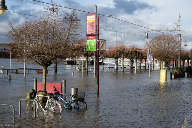 Flooding on the banks of the Rhine near Königswinter