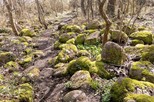 Trail between Svaneke and Snogebæk