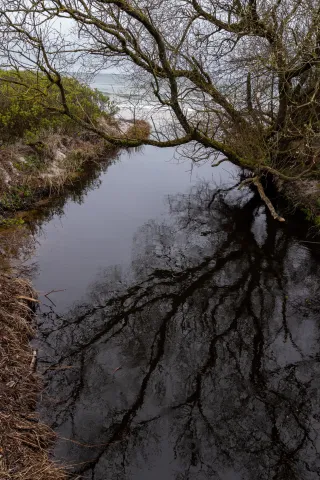 Trail von Bakkerne Havn nach Snogebæk