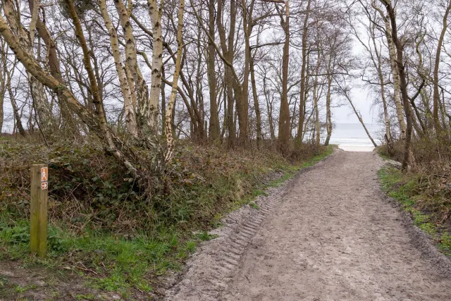 Trail from Bakkerne Havn to Snogebæk