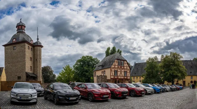 The Mustangs in Vollrads Castle near Bingen